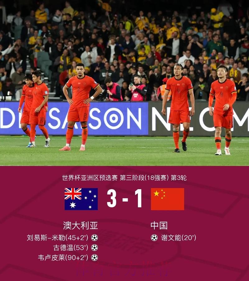 全面解析世界杯比分平台 全面解析世界杯比分平台